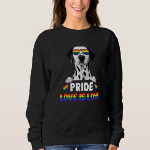 Sudadera Bandera arcoiris del orgullo gay de Dalmacia