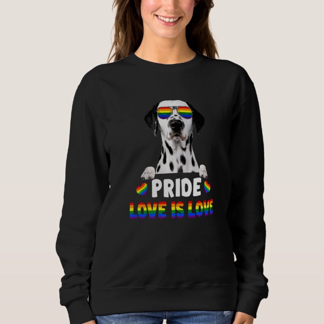 Sudadera Bandera arcoiris del orgullo gay de Dalmacia (Anverso)
