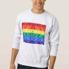 Sudadera Bandera arcoiris Orgullo gay LGBTQ el amor LGBT es