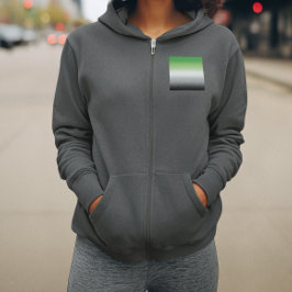 Sudadera Bandera Arromántica Gradiente – Orgullo Arromántic