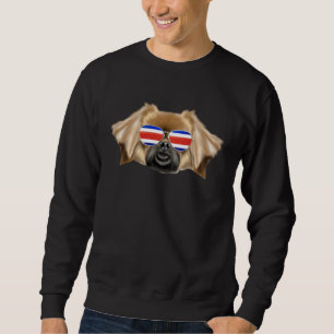 Sudadera Bandera de Costa Rica Spaniel Tibetano Perro Tico