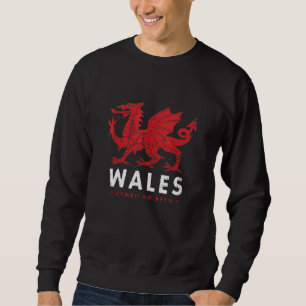 Sudadera Bandera de Gales Dragón galés Baner Cymru Am Byshm
