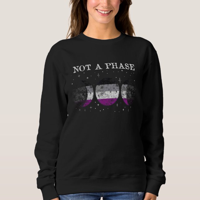 Sudadera Bandera del Orgullo Asexual No Una Fase (Anverso)