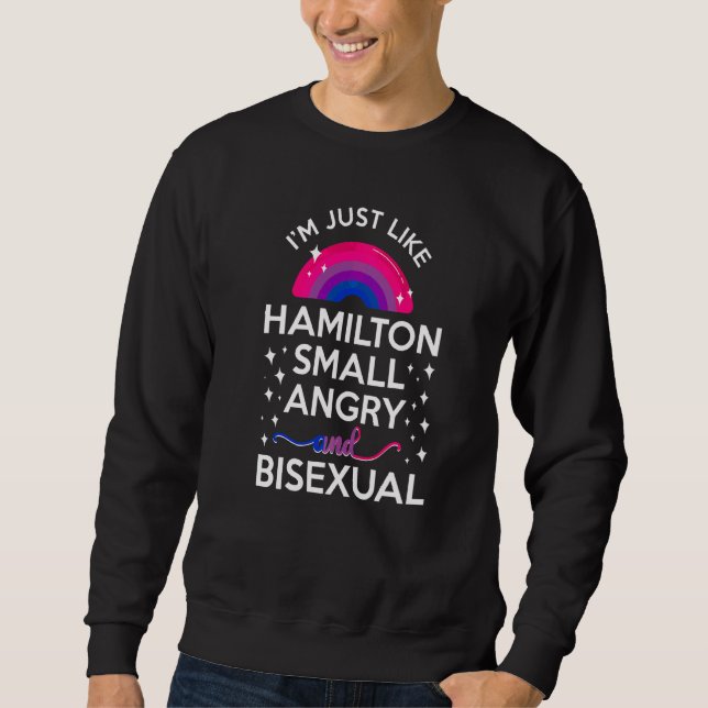 Sudadera Bandera del Orgullo Bisexual Soy Igual Que Hamilto (Anverso)