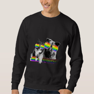 Sudadera Bandera Del Orgullo Gay Perro Y Gato Gafas De Sol
