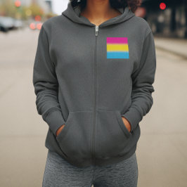 Sudadera Bandera del Orgullo Pansexual de Gradiente - Bande