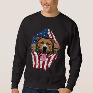 Sudadera Bandera estadounidense de Pitbull