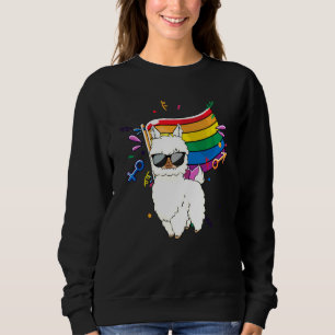Sudadera Bandera Lgbt Llama Lesbiana Gay Resista Especial A