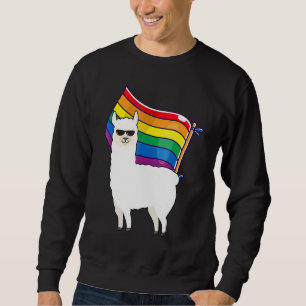 Sudadera Bandera Lgbt Llama Lesbiana Gay Resistiendo Hombre