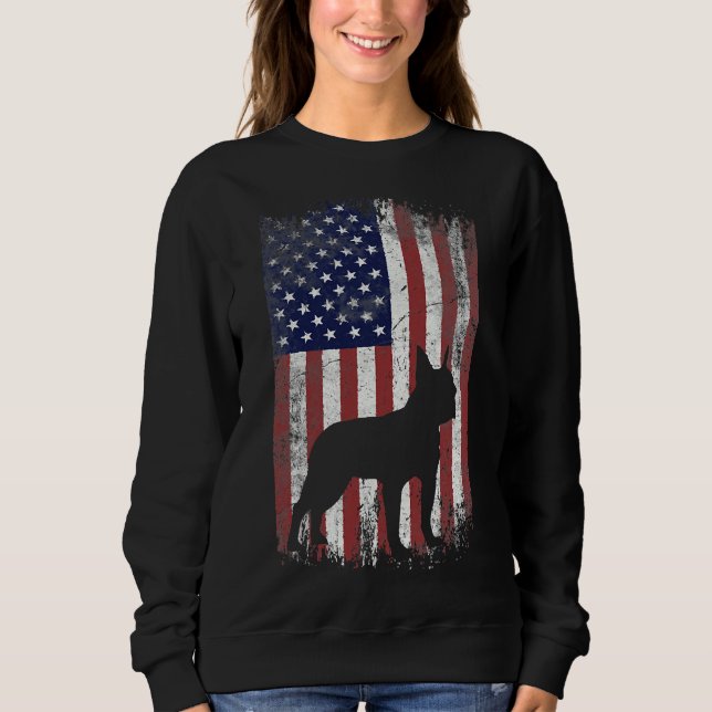 Sudadera Bandera norteamericana de Boston (Anverso)