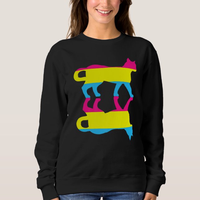 Sudadera Bandera Pansexualidad Gato Animal Derechos Humanos (Anverso)