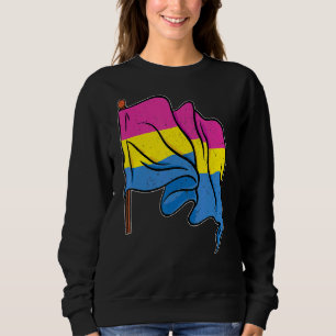 Sudadera Bandera Pansexualidad Pan Orgullo Derechos Humanos