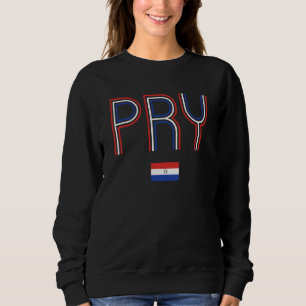 Sudadera Bandera retro paraguaya del orgullo paraguayo