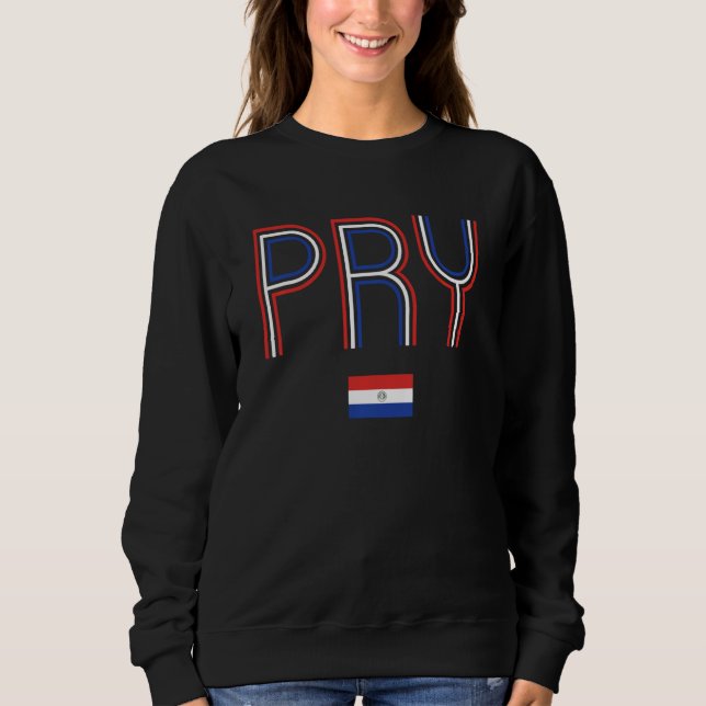 Sudadera Bandera retro paraguaya del orgullo paraguayo (Anverso)