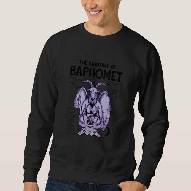 Sudadera Baphomet Anatomy Satanic Satan Goat Devil Goth Gra (Anverso)