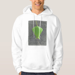 Sudadera Barringtonia Acutangula