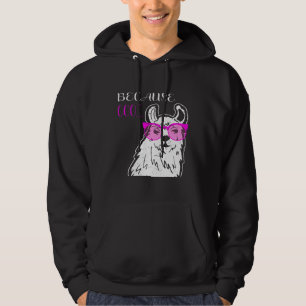 Sudadera Be Guay Llama Rainbow para el amante de la Alpaca