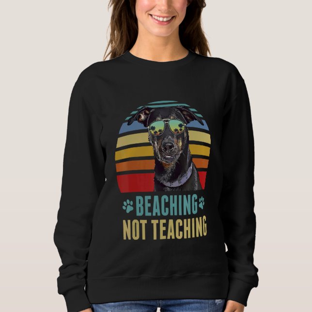 Sudadera Bebida, no enseñanza de belicón (Anverso)