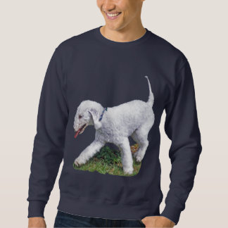 Sudadera Bedlington Terrier