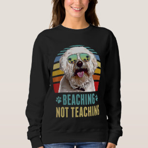 Sudadera Beis Not Teaching Bichons Frise Dog Summer
