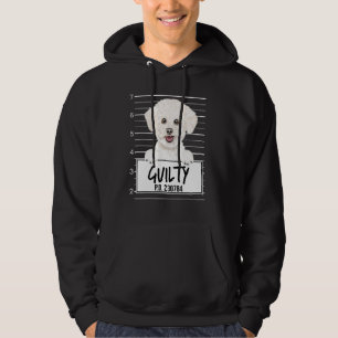 Sudadera Bichons Frise Mugshot Guilty Dog
