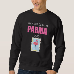 Sudadera Big Deal Sarcástico Flamingo Rosa Parma Ohio Souve