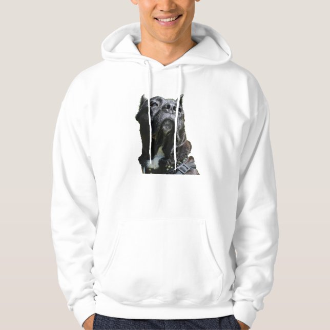 Sudadera Big Dog Hoodie (Anverso)