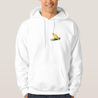 Sudadera birdie2009nbg
