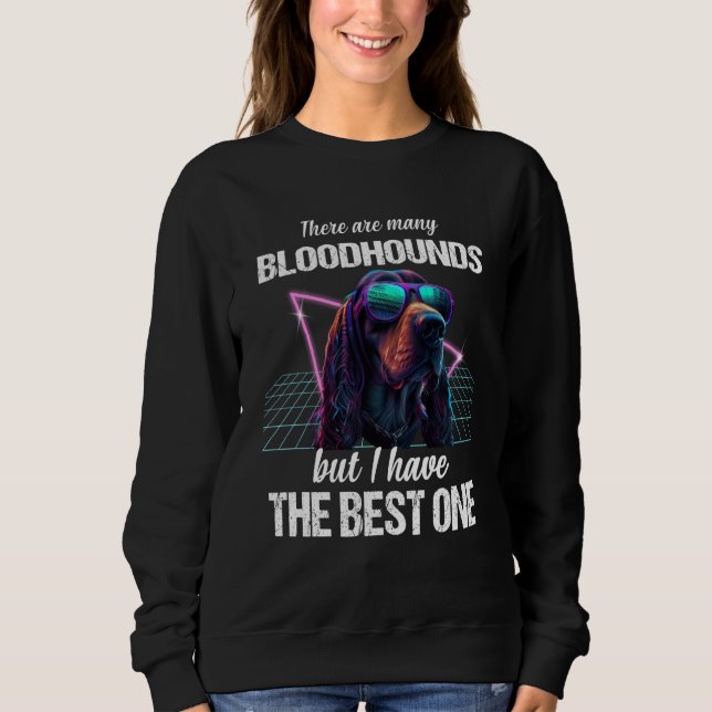 Sudadera Bloodhound Dog Bloodhounds  1 (Anverso)