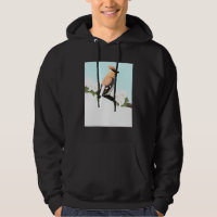 Bohemia Waxwing Bird Birder Bird Birdwatcher Biol