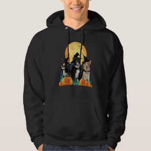 Sudadera Border Collies Bruja Calabaza Disfraz Noche de Hal