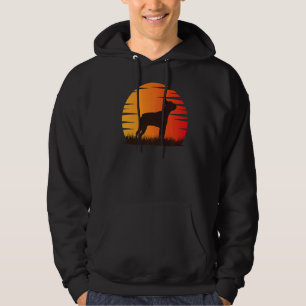 Sudadera Boston Terrier Dog Retro 16