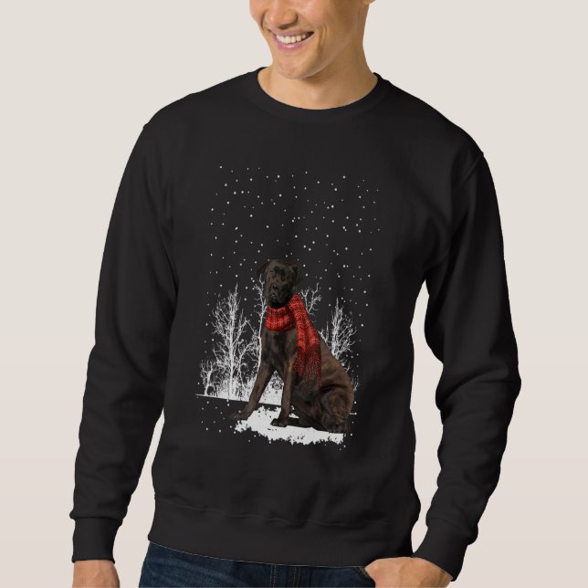 Sudadera Brindle Bullmastiff Winter Scarf Dogs Tree Forest (Anverso)