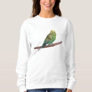 Sudadera Budgerigar Parrot