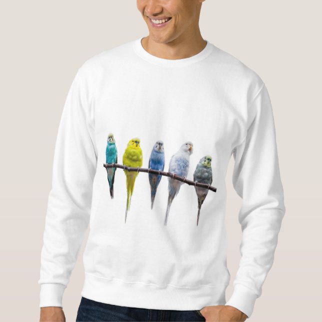 Sudadera Budgies (Anverso)