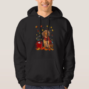 Sudadera Bufanda de perro Dachshund Otoño Chocolate Otoño