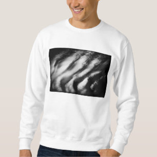 Sudadera buitres caídos