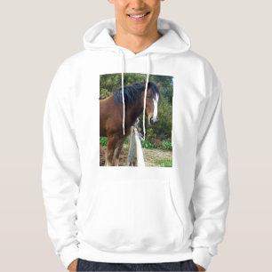 Sudadera Caballo Big Brown Clydesdale, Hoodie