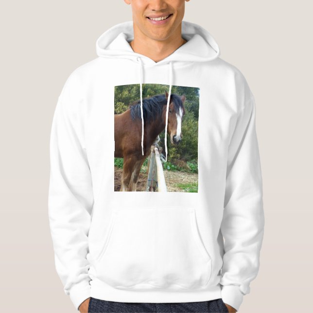 Sudadera Caballo Big Brown Clydesdale, Hoodie (Anverso)