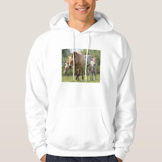 Sudadera Caballo de Przewalski y potro caminando (Anverso)