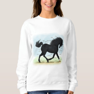 Sudadera Caballo negro con gráfico de anatomía de estrell
