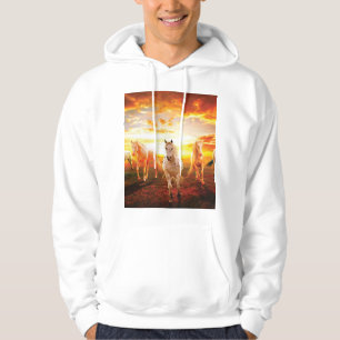 Sudadera Caballos al atardecer lanzando almohada