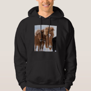 Sudadera Caballos islandeses acarician, Islandia