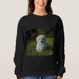 Sudadera Cachorro blanco adorable