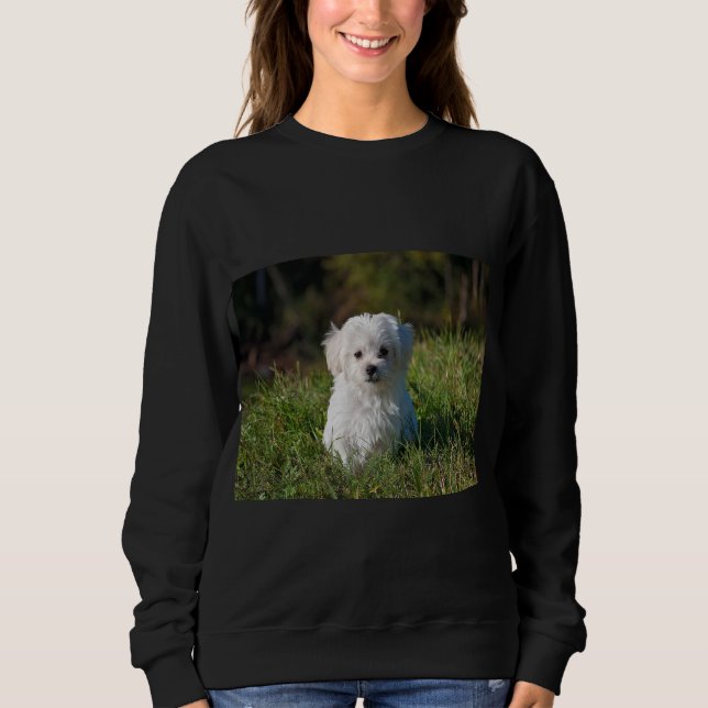 Sudadera Cachorro blanco adorable (Anverso)