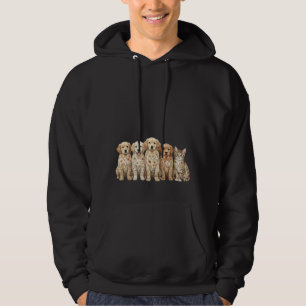 Sudadera Cachorros adorables de Golden Retriever y gatito