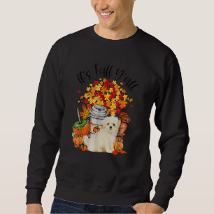 Sudadera Cae la calabaza de perro maltesa otoño