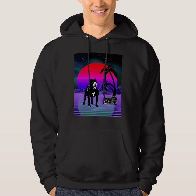 Sudadera Caja de boom retro para perros de Pitbull con onda (Anverso)