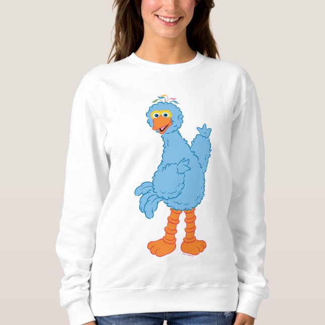 Sudadera Calle de sésamo Pino (Anverso)