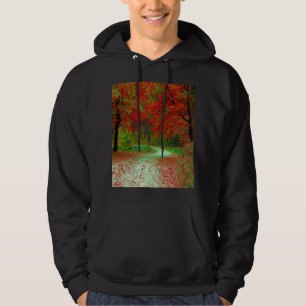 SUDADERA CAMINO BOSQUE ÁRBOLES BOTÁNICA NATURALEZA PAISAJE